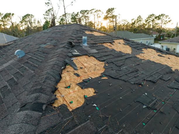 Trusted Plymouth, CA Roofing Services Experts