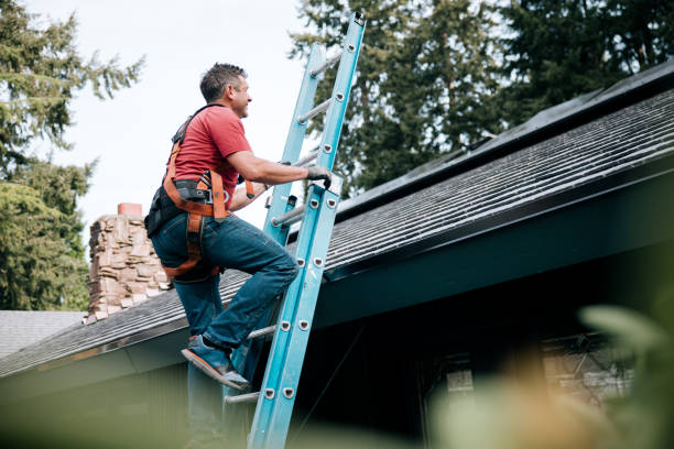 Best Gutter Installation and Repair  in Plymouth, CA