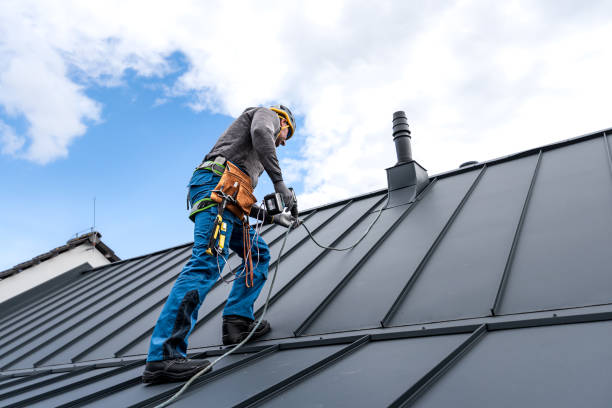 Best Skylight Installation and Repair  in Plymouth, CA